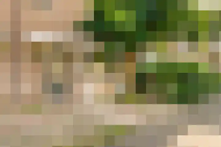 De Kamp 19 Velserbroek thumbnail 8
