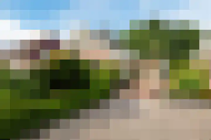 De Kamp 29 Vroomshoop