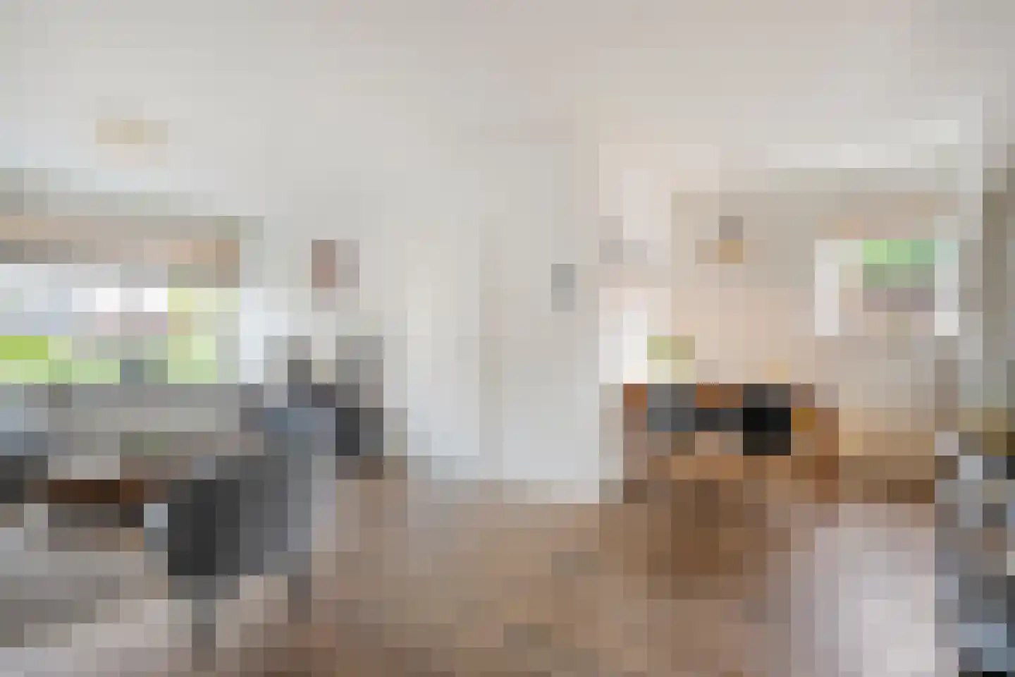 De Kamp 30 Vroomshoop thumbnail 10