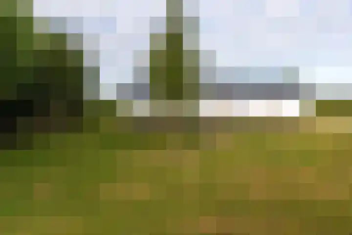 De Kamp 30 Vroomshoop thumbnail 13