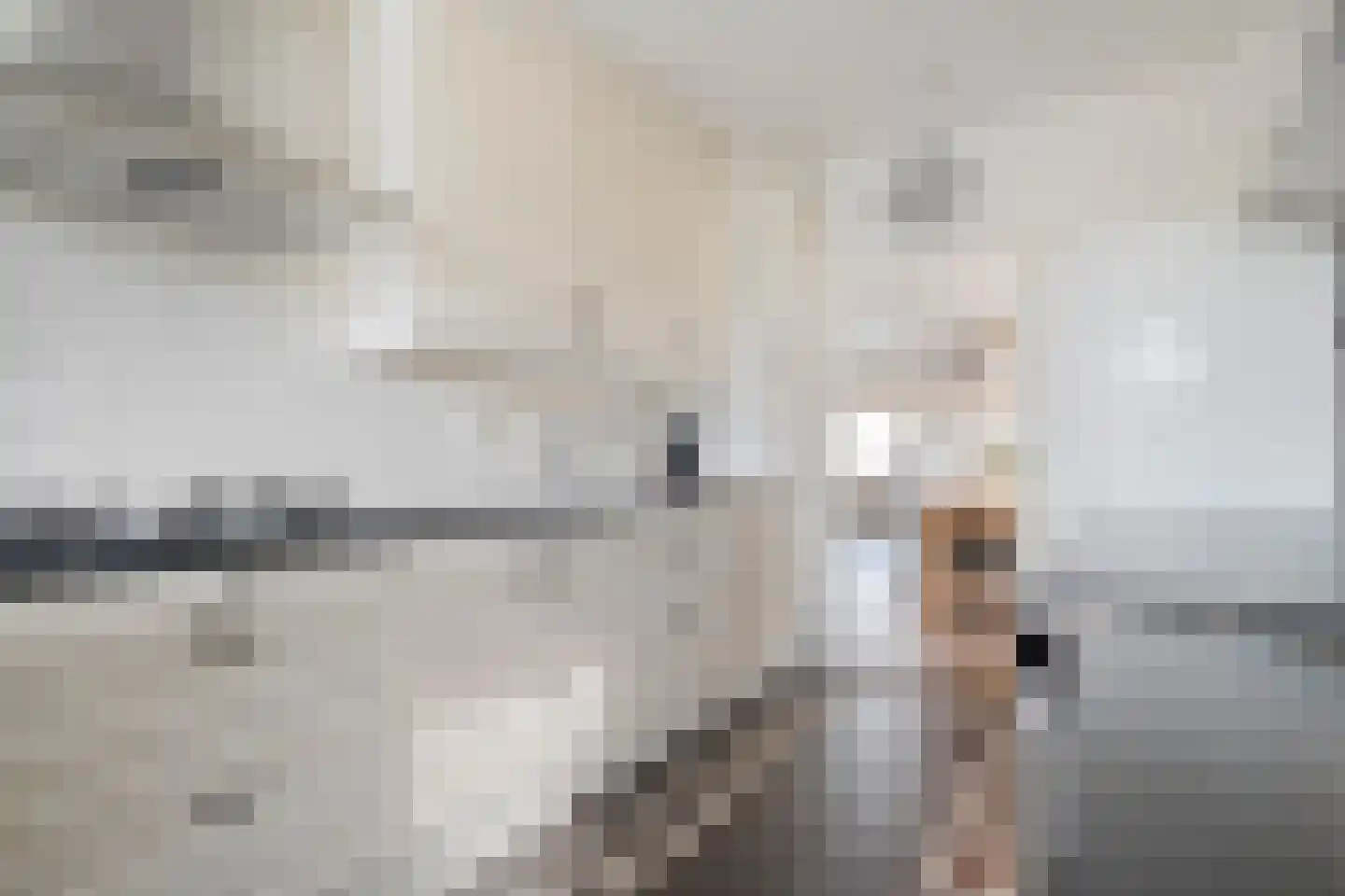 De Kamp 30 Vroomshoop thumbnail 16