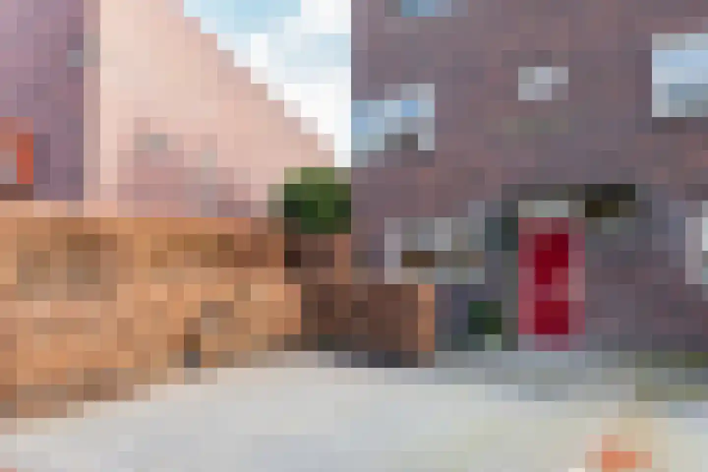 De Kamp 30 Vroomshoop thumbnail 19