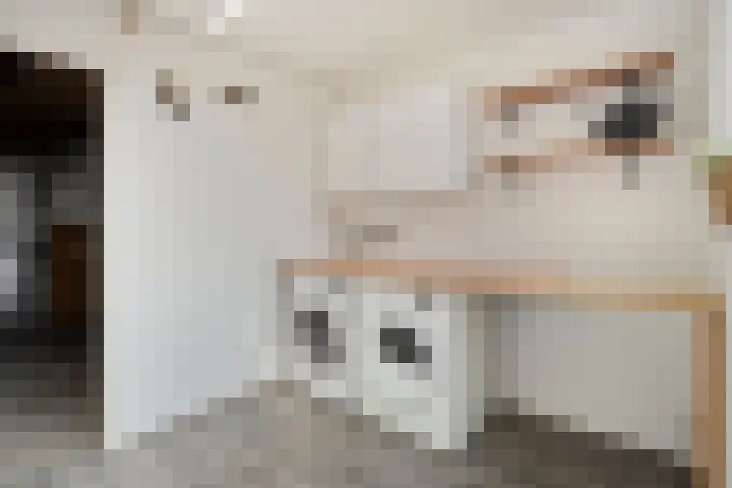 De Kamp 30 Vroomshoop thumbnail 19