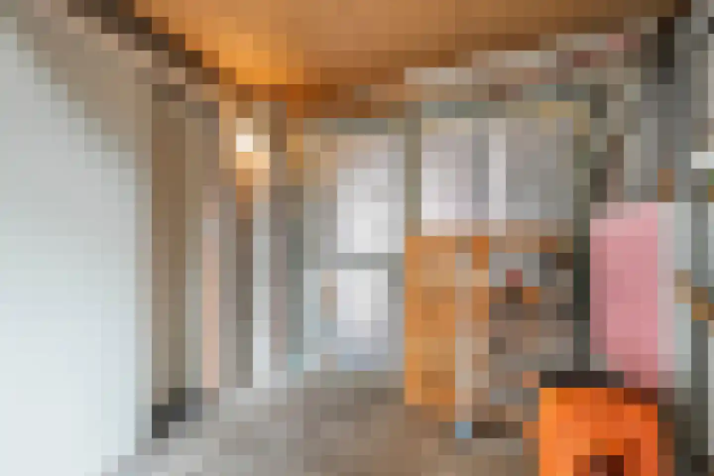 De Kamp 30 Vroomshoop thumbnail 22