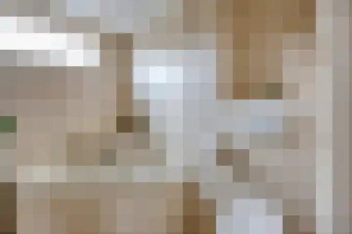De Kamp 30 Vroomshoop thumbnail 32
