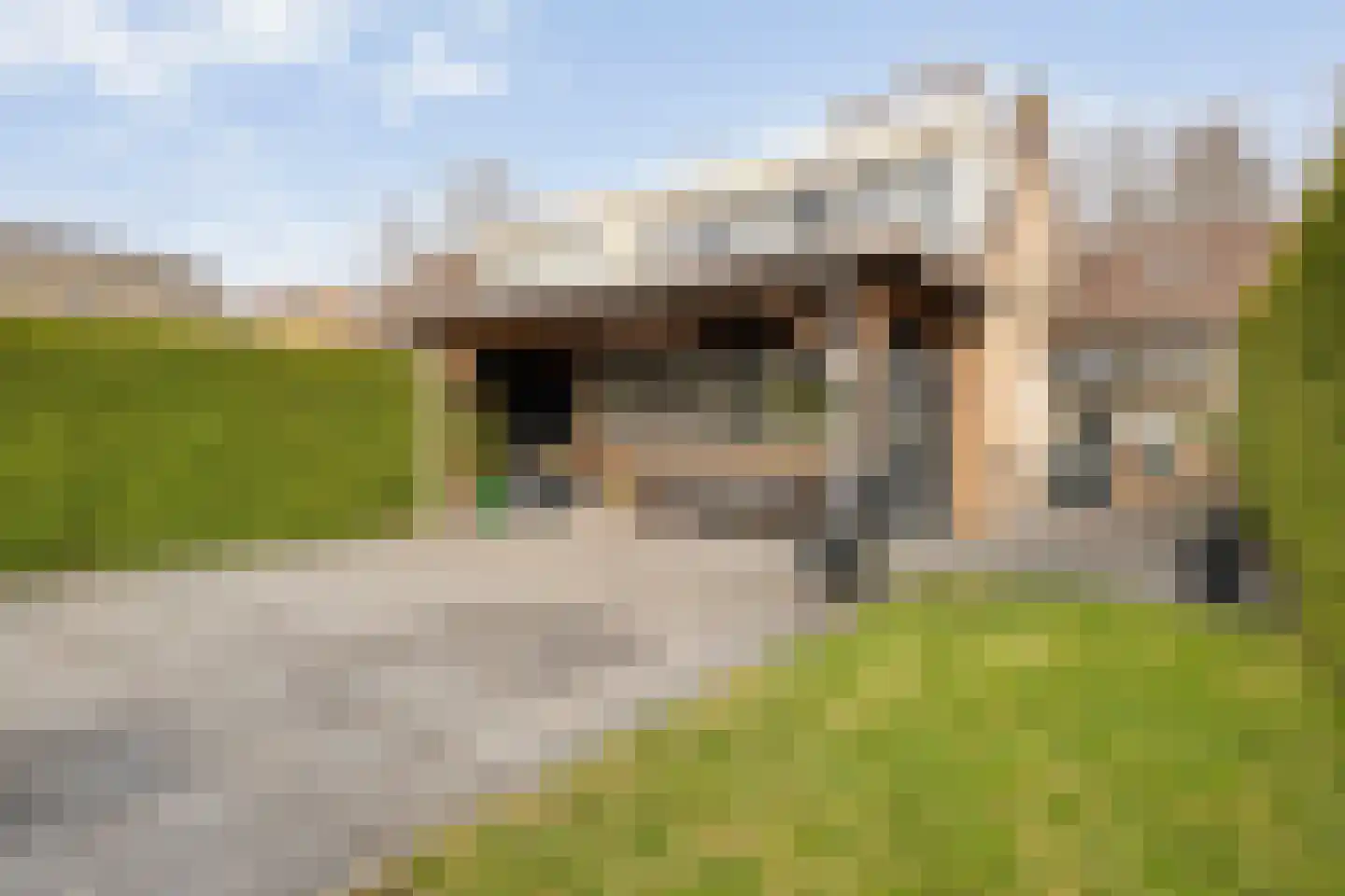 De Kamp 30 Vroomshoop thumbnail 35