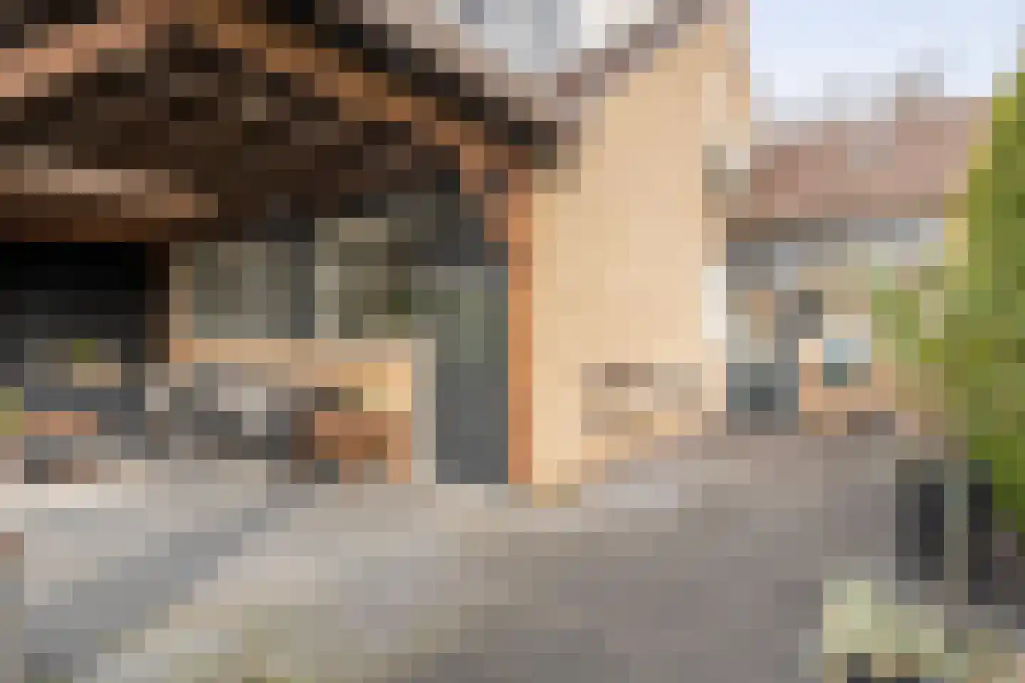 De Kamp 30 Vroomshoop thumbnail 37