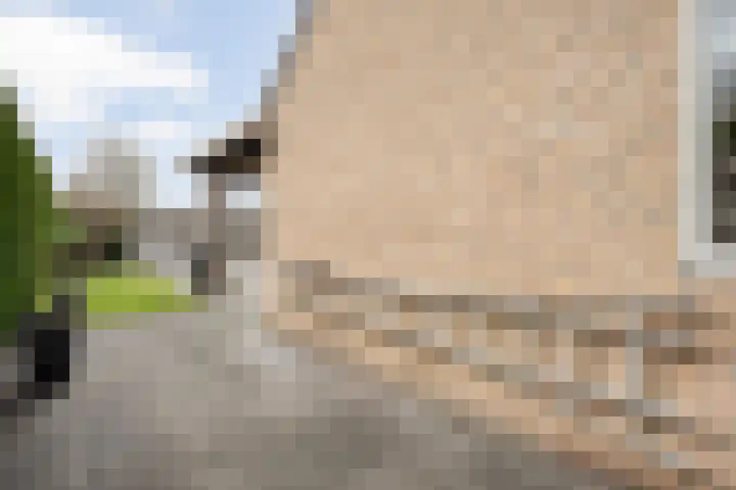 De Kamp 30 Vroomshoop thumbnail 38