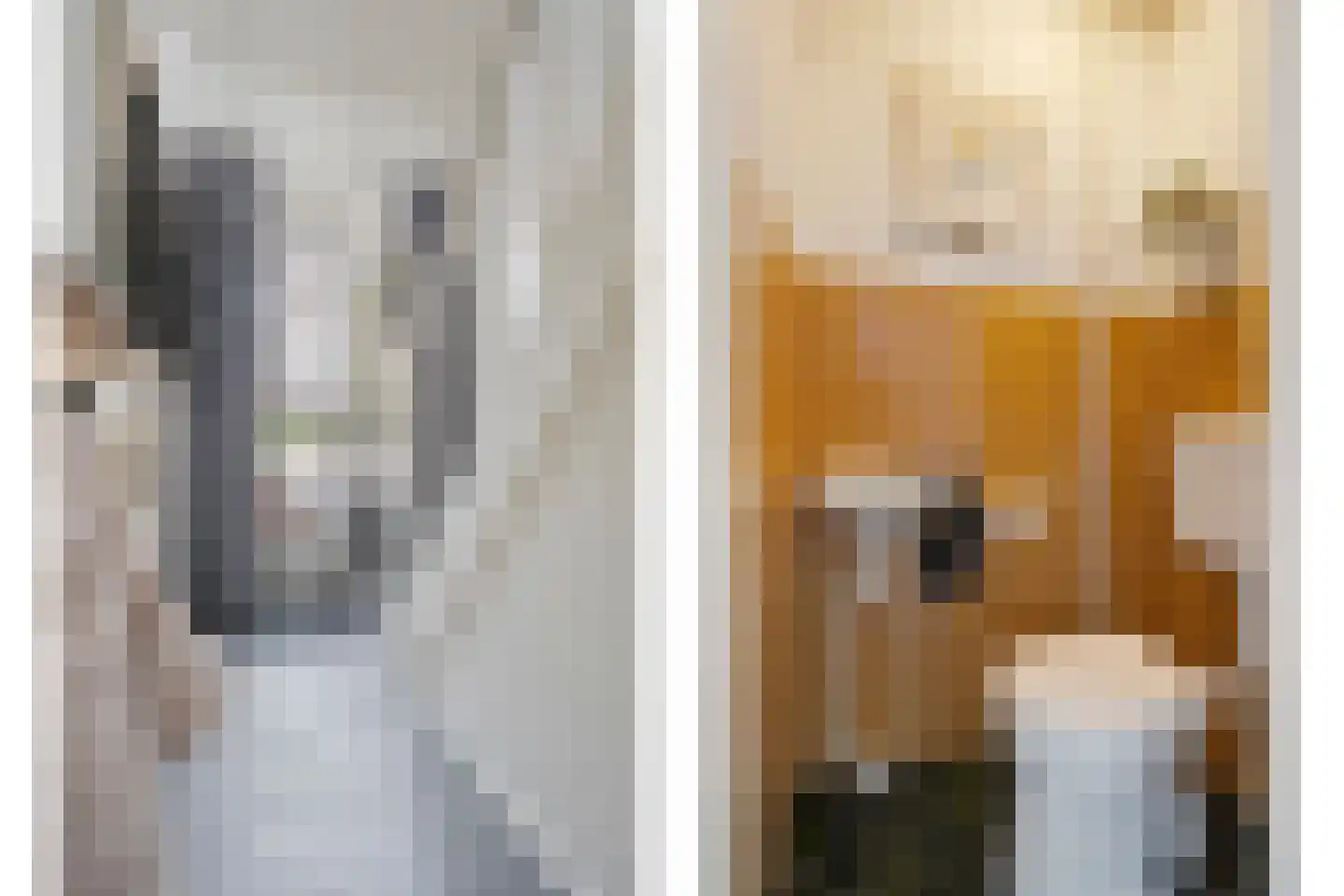 De Kamp 30 Vroomshoop thumbnail 6