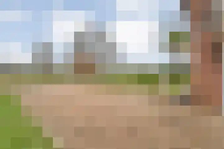 de Kamp 34 Ommen thumbnail 11