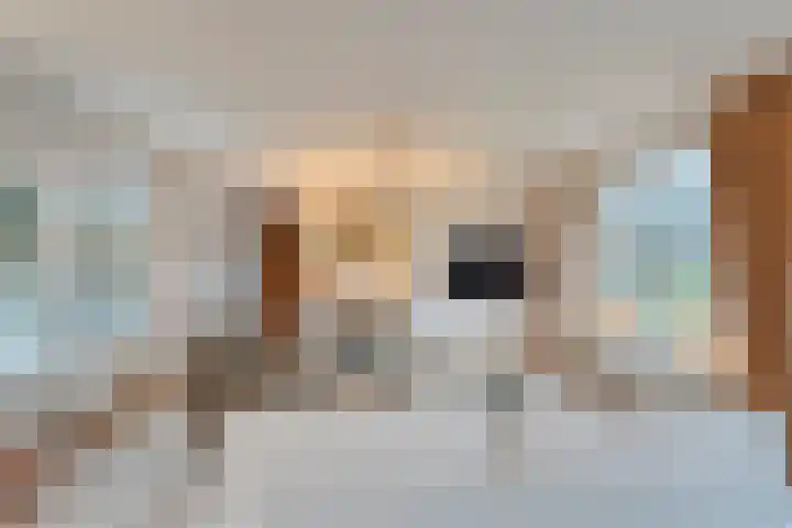 de Kamp 34 Ommen thumbnail 15