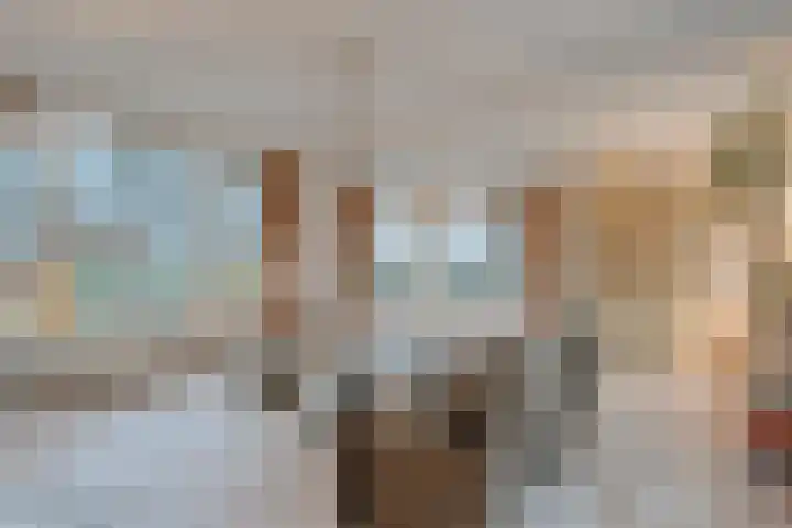 de Kamp 34 Ommen thumbnail 16
