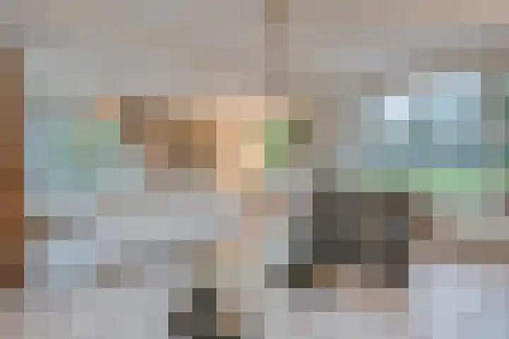 de Kamp 34 Ommen thumbnail 17