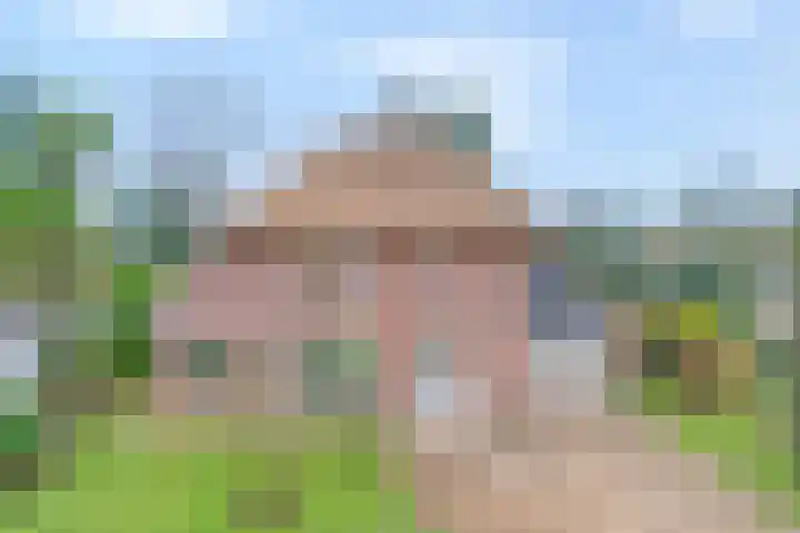 de Kamp 34 Ommen foto 3