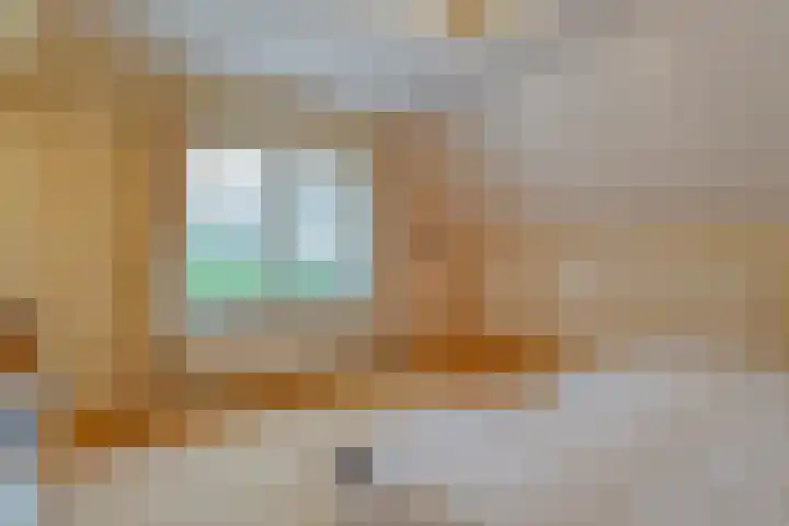 de Kamp 34 Ommen thumbnail 33