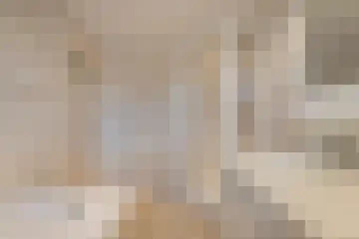 de Kamp 34 Ommen thumbnail 37