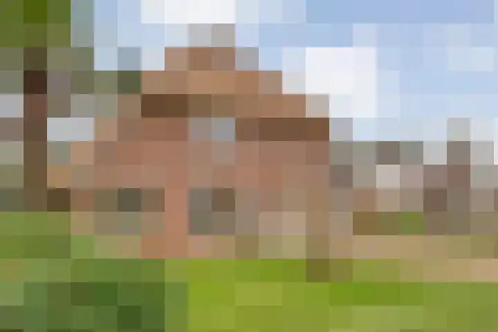 de Kamp 34 Ommen thumbnail 4