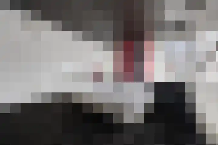 de Kamp 34 Ommen thumbnail 40