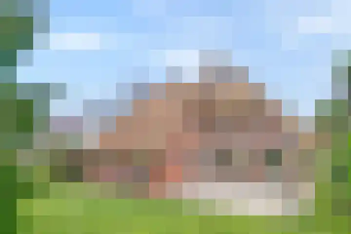 de Kamp 34 Ommen thumbnail 41