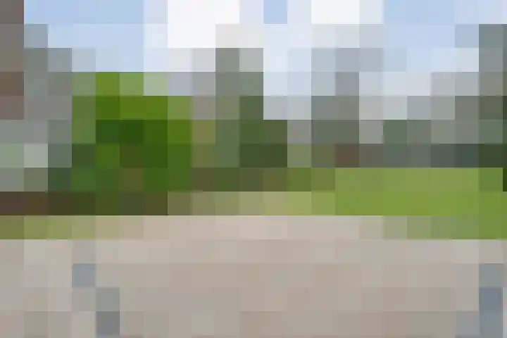 de Kamp 34 Ommen thumbnail 44