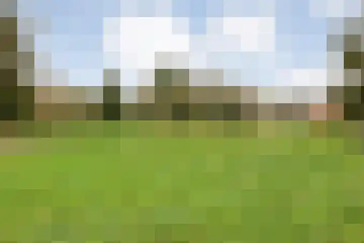 de Kamp 34 Ommen thumbnail 48