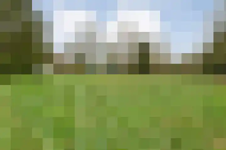 de Kamp 34 Ommen thumbnail 49