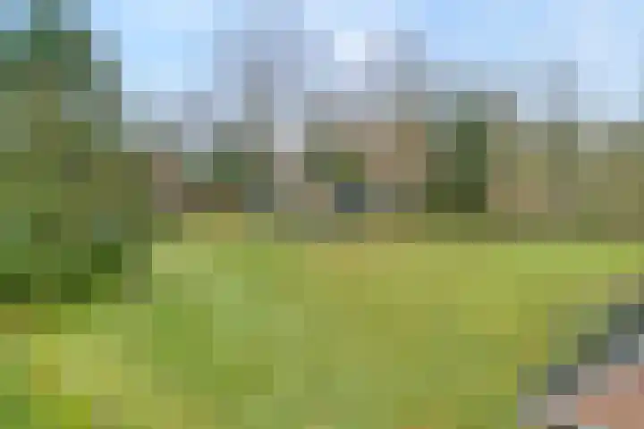 de Kamp 34 Ommen thumbnail 51