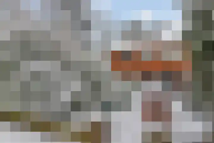 de Kamp 34 Ommen thumbnail 63