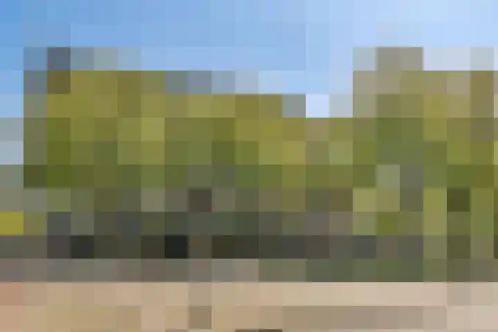 de Kamp 34 Ommen thumbnail 7