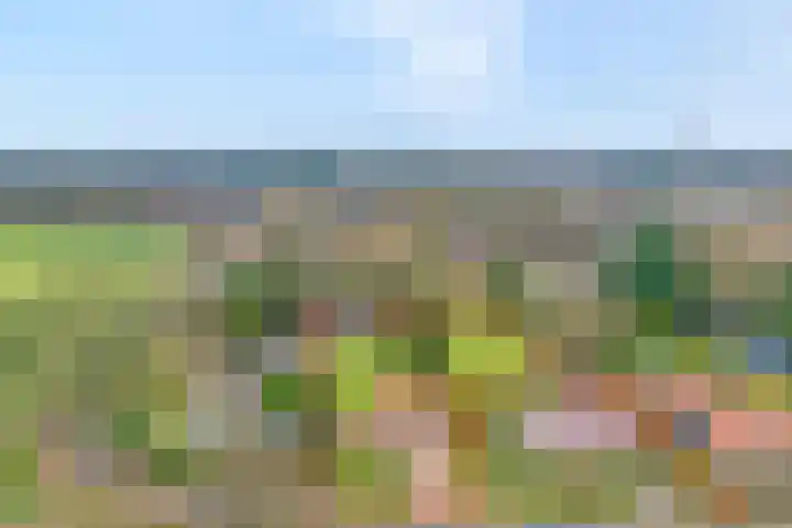 de Kamp 34 Ommen thumbnail 7