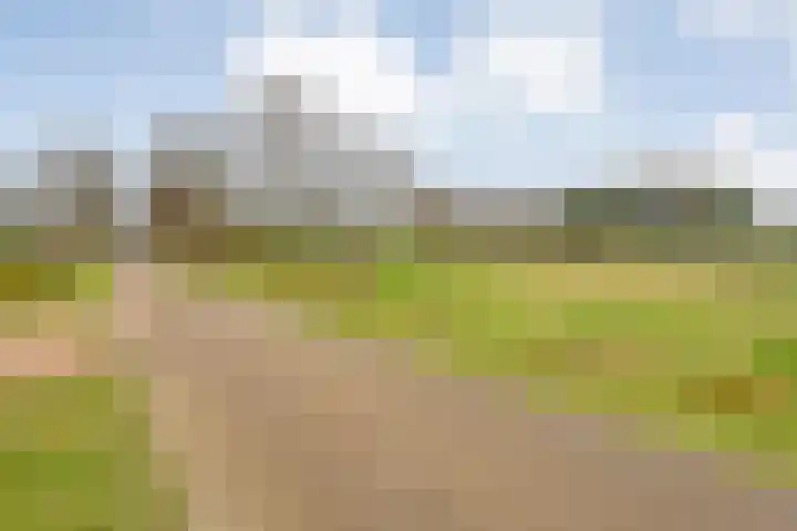 de Kamp 34 Ommen thumbnail 9