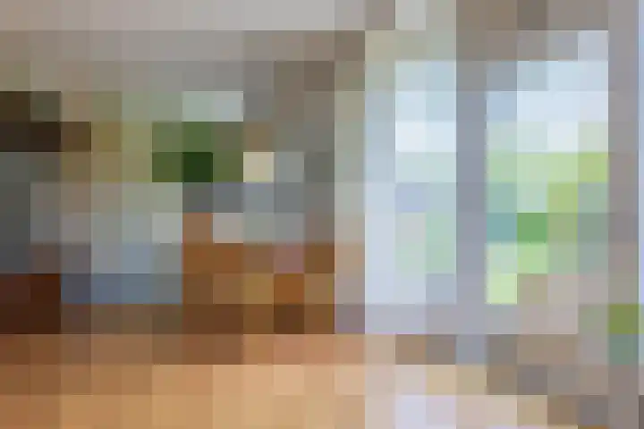 De Kamp 37 Vroomshoop thumbnail 9