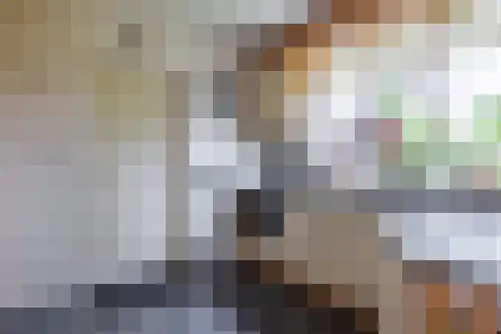 De Kamp 37 Vroomshoop thumbnail 11