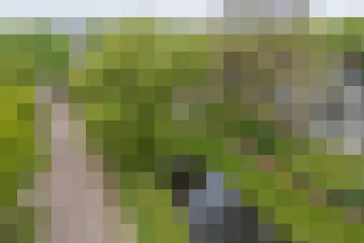 De Kamp 37 Vroomshoop foto 2