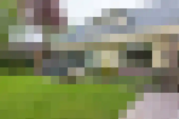De Kamp 37 Vroomshoop thumbnail 23