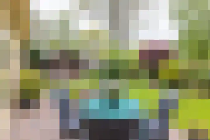 De Kamp 37 Vroomshoop thumbnail 24