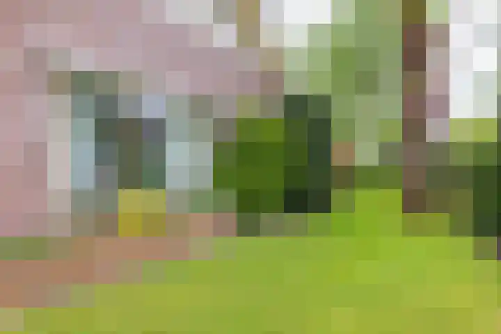 De Kamp 37 Vroomshoop thumbnail 25