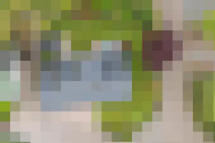 De Kamp 37 Vroomshoop thumbnail 26
