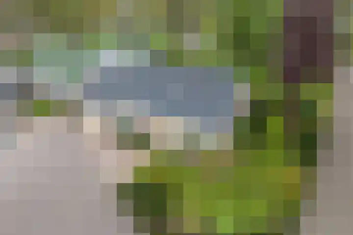 De Kamp 37 Vroomshoop thumbnail 34