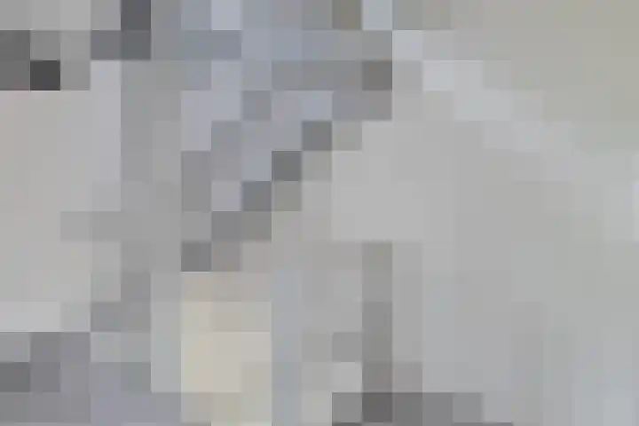 De Kampen 10 Ingwierrum thumbnail 14