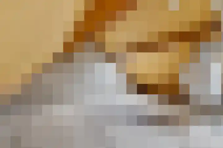 De Kampen 10 Ingwierrum thumbnail 16