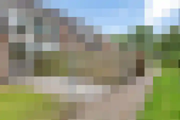 De Kampen 10 Ingwierrum thumbnail 18