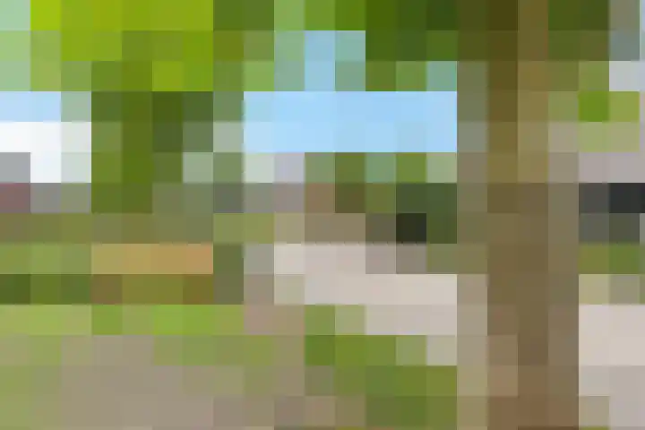 De Kampen 10 Ingwierrum thumbnail 21