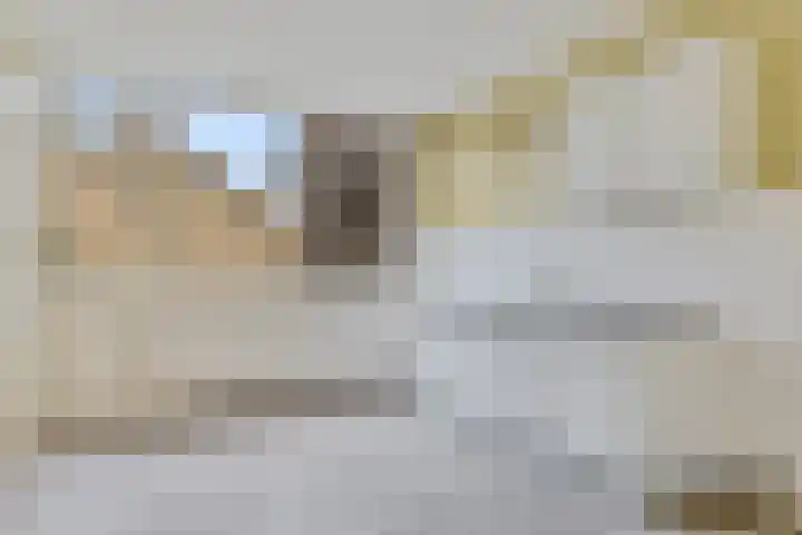 De Kampen 10 Ingwierrum thumbnail 6