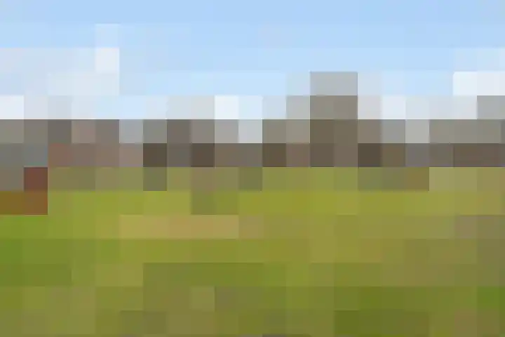 De Kampen 14 Westerbork thumbnail 29