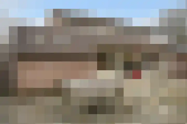 De Kampen 14 Westerbork thumbnail 36