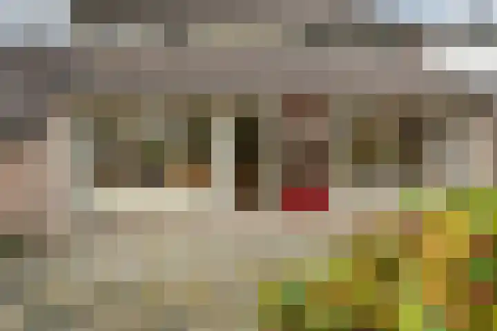 De Kampen 14 Westerbork thumbnail 37
