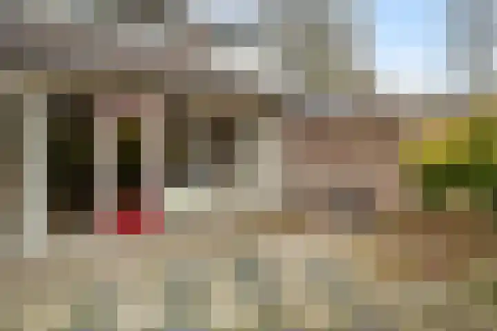 De Kampen 14 Westerbork thumbnail 38