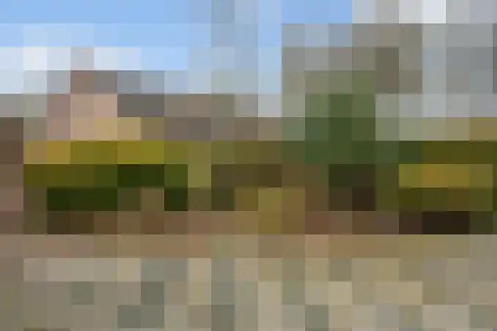 De Kampen 14 Westerbork thumbnail 41