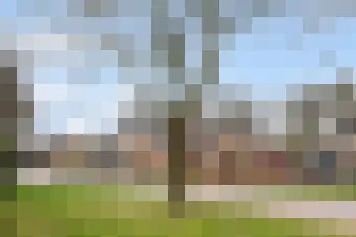 De Kampen 14 Westerbork thumbnail 45
